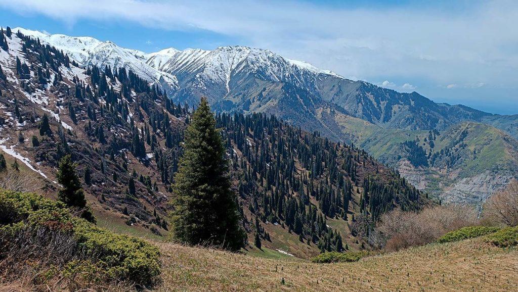 На перевале Саркырама